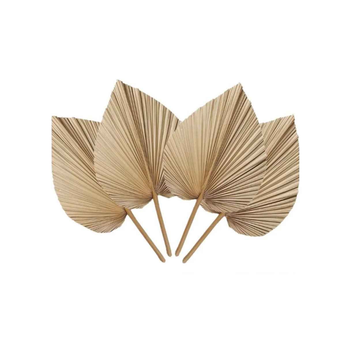 6Pcs Natural Tropical Dried Palm Leaves Decoration,Boho Trimmed Palm Leaves for Weddings Wall Bedroom Decoration
6Pcs Natural Tropical Dried Palm Leaves Decoration,Boho Trimmed Palm Leaves for Weddings Wall Bedroom Decoration