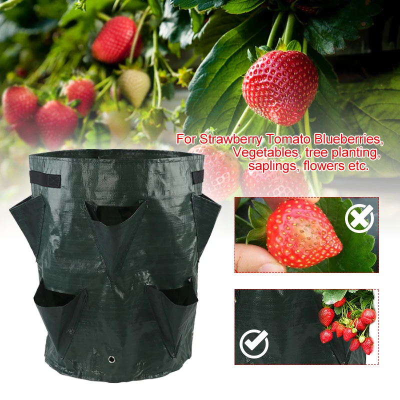Multi-Mouth Grow Bag 5/7/10 Planting Bags Reusable Gallons Strawberry Tomato Growing Bag Gardens Balconies Flower Herb Planter 
Multi-Mouth Grow Bag 5/7/10 Planting Bags Reusable Gallons Strawberry Tomato Growing Bag Gardens Balconies Flower Herb Planter