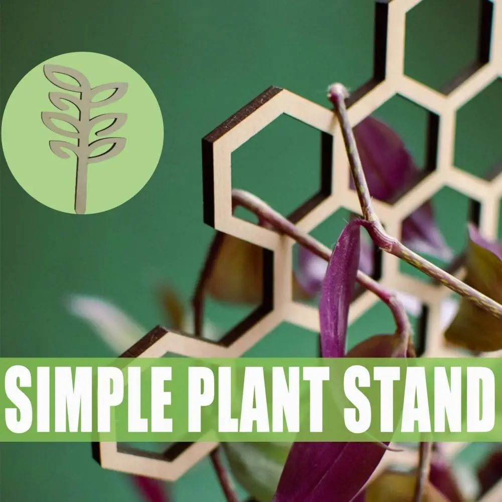 Plant Support Rack Creative Wood Plant Bracket Elegent Good-shaped Flower Grow Stake for Home Flower Support Bracket
Plant Support Rack Creative Wood Plant Bracket Elegent Good-shaped Flower Grow Stake for Home Flower Support Bracket