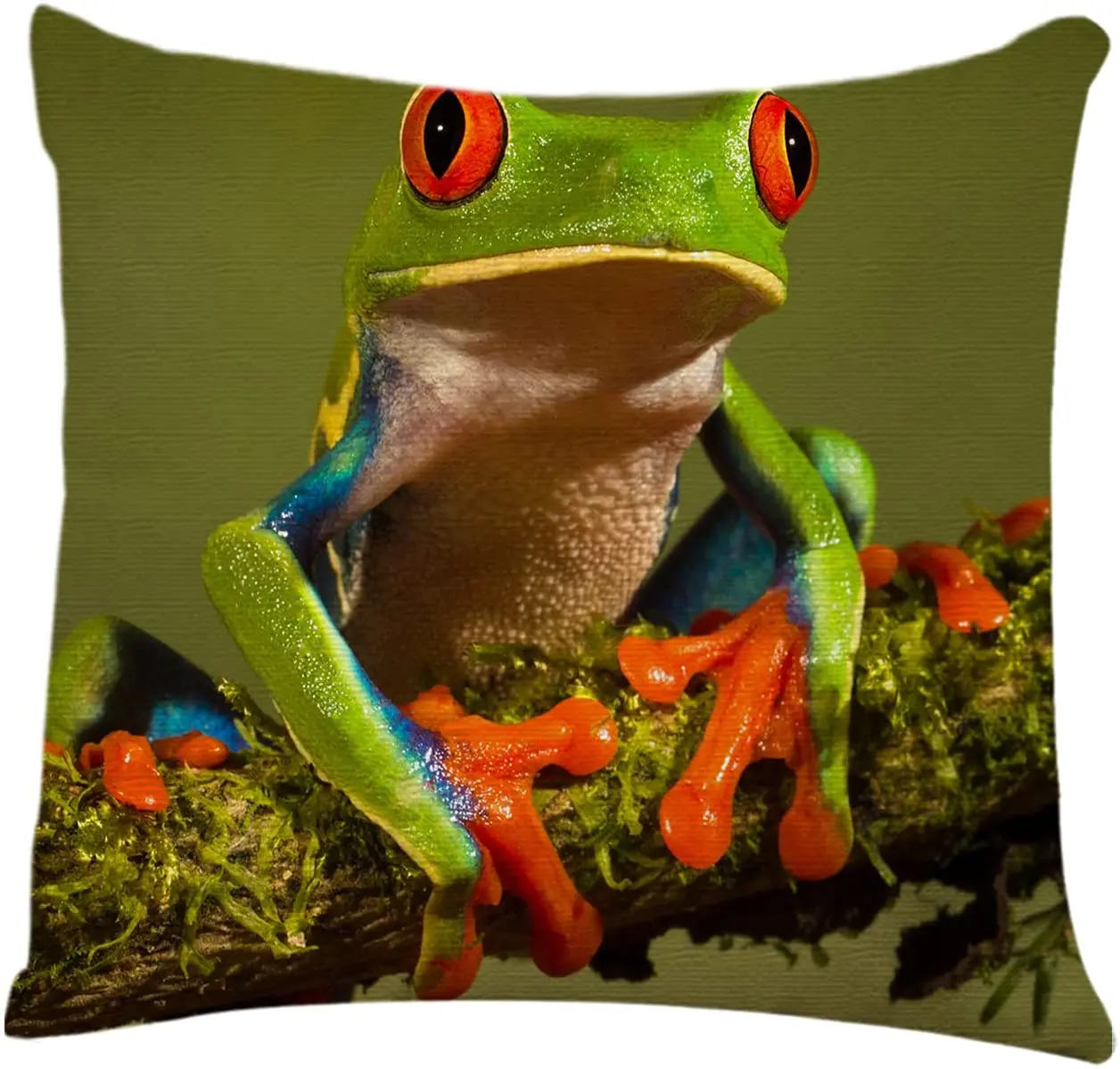 Throw Pillow Cover Cute Tree Frog Green Wild Animal Home Decor Pillowcase Cushion Cover 18x18 Inches
Throw Pillow Cover Cute Tree Frog Green Wild Animal Home Decor Pillowcase Cushion Cover 18x18 Inches