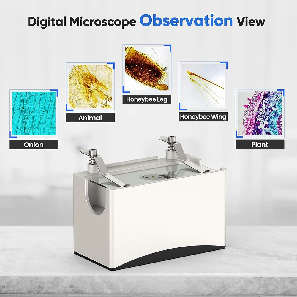 Прозрачный светодиодный светильник, сценический держатель, универсальный нижний светильник для микроскопа, регулируемый для биологического ЖК-цифрового микроскопа
Прозрачный светодиодный светильник, сценический держатель, универсальный нижний светильник для микроскопа, регулируемый для биологического ЖК-цифрового микроскопа