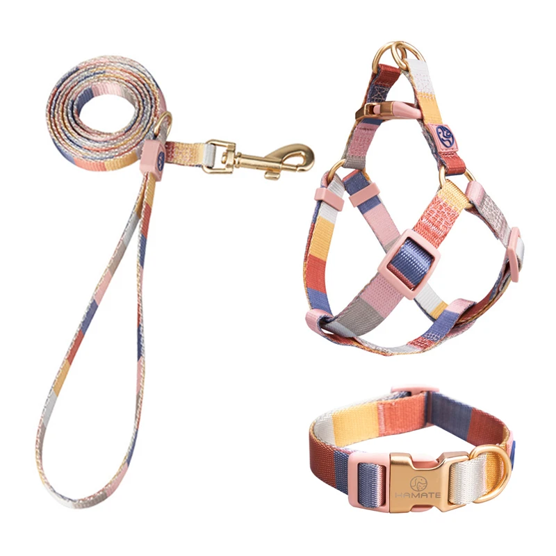 High Quality Dog Collar Harness Leash Set For Small Medium Large Dogs Walking Leash Bulldog Shiba Inu WIt chihuahua Luxury
High Quality Dog Collar Harness Leash Set For Small Medium Large Dogs Walking Leash Bulldog Shiba Inu WIt chihuahua Luxury