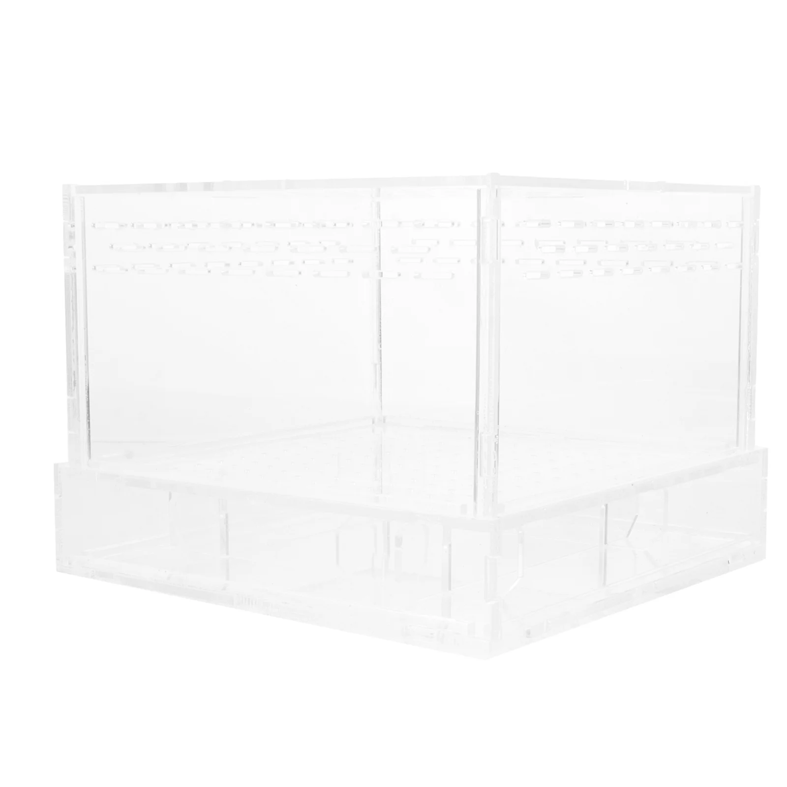 Barely Worm Breeding Box Pet Reptiles Fodder Feeder Pet Feeding Case Pet Supply 
Barely Worm Breeding Box Pet Reptiles Fodder Feeder Pet Feeding Case Pet Supply