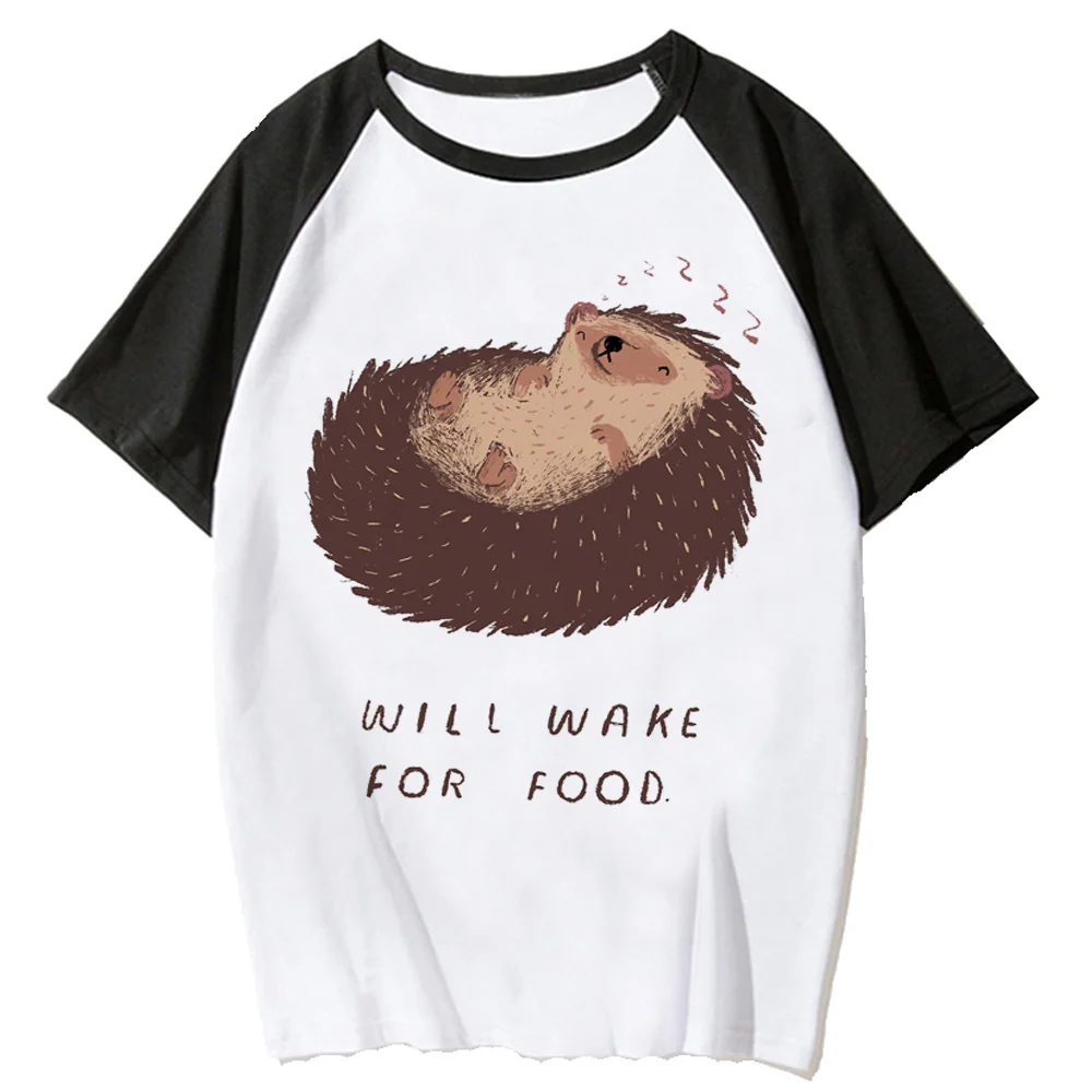 Hedgehog t-shirts women designer comic t-shirts female 2000s anime y2k clothing
Hedgehog t-shirts women designer comic t-shirts female 2000s anime y2k clothing