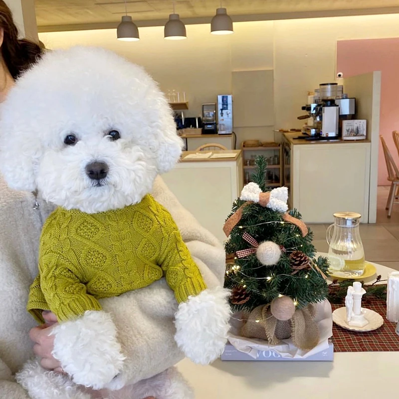 Pet Clothes Autumn Winter Medium Small Dog Striped Sweater Warm Wool Fashion Pattern Kitten Puppy Sweet Pullover Chihuahua Cat
Pet Clothes Autumn Winter Medium Small Dog Striped Sweater Warm Wool Fashion Pattern Kitten Puppy Sweet Pullover Chihuahua Cat