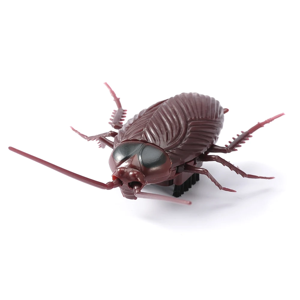 Infrared Remote Control Insect Toys Simulation Cockroaches Electric RC Toy Halloween Gift For Adult Prank Insects
Infrared Remote Control Insect Toys Simulation Cockroaches Electric RC Toy Halloween Gift For Adult Prank Insects