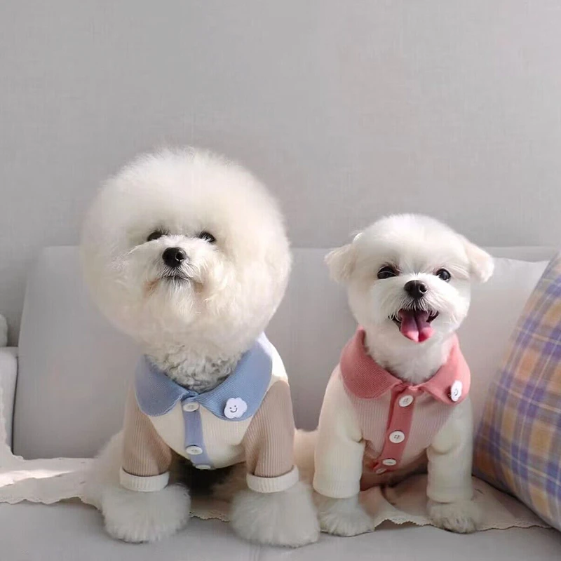 Cute Puppy Clothes Spring Leggings Small Dog Patchwork Color Two-legged Clothes Teddy Breathable Vest Pet Dog Open Button Shirt
Cute Puppy Clothes Spring Leggings Small Dog Patchwork Color Two-legged Clothes Teddy Breathable Vest Pet Dog Open Button Shirt
