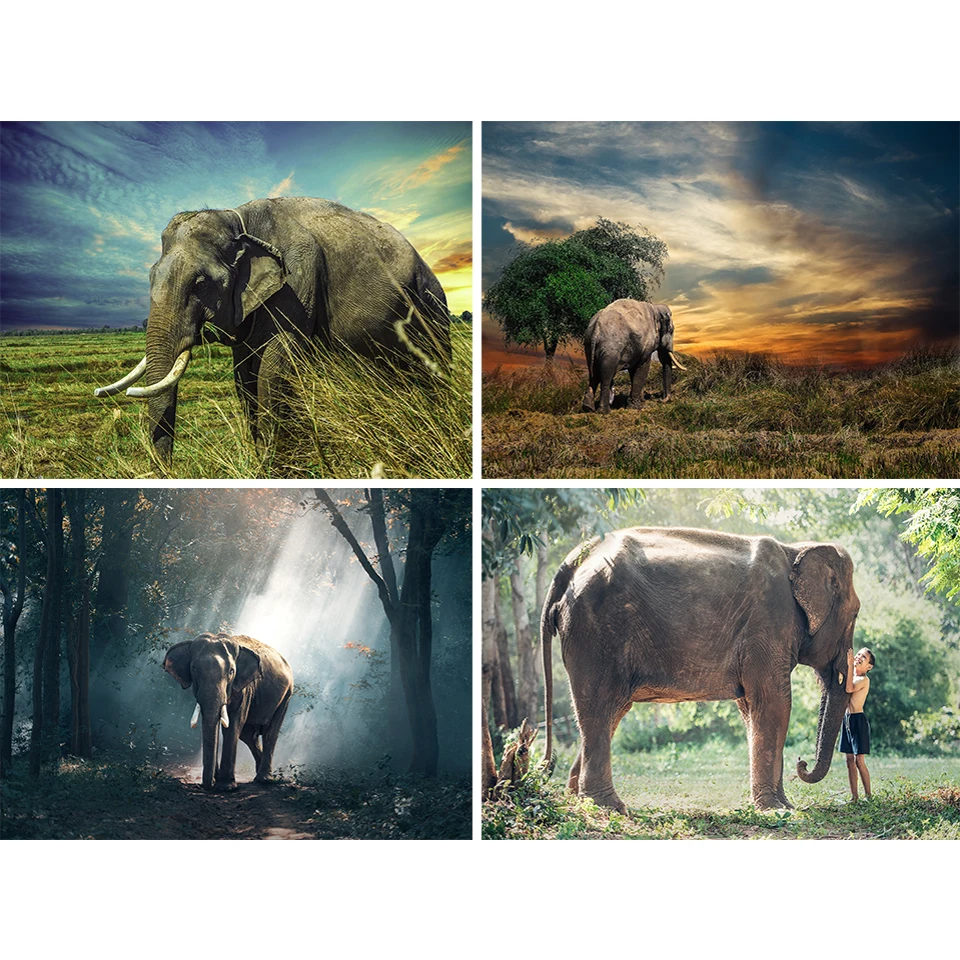 5D DIY Diamond Painting Animal Rhinestone Elephant Art Picture Cross Stitch Kit Full Diamond Embroidery Mosaic Gift Home Decor
5D DIY Diamond Painting Animal Rhinestone Elephant Art Picture Cross Stitch Kit Full Diamond Embroidery Mosaic Gift Home Decor