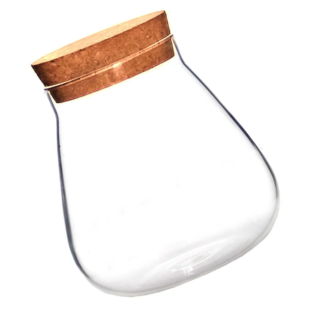 Display Pot Glass Snack Containers Food Storage Container Travel Snack Container Cork Glass Bottle Storage Jar Jars Bottles
Display Pot Glass Snack Containers Food Storage Container Travel Snack Container Cork Glass Bottle Storage Jar Jars Bottles