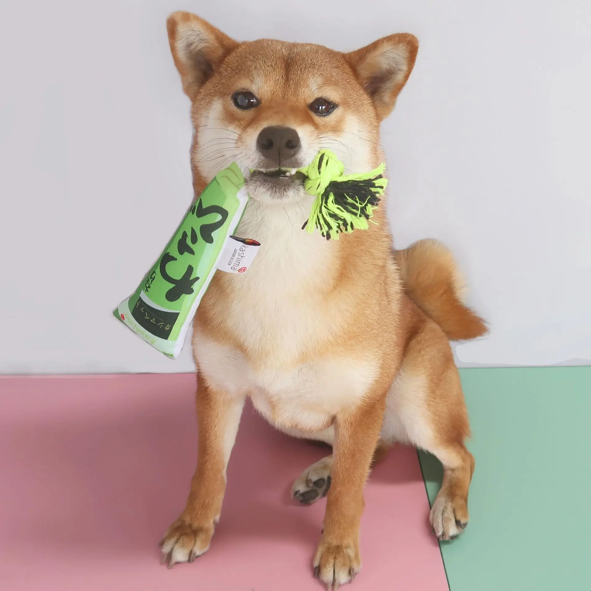 Funny Cleaning Teeth Bite Resistant Pet Dog Chew Mustard Toys for Puppy Dog Rope Knot Ball Toy PlayingFor Small Dogs Toys
Funny Cleaning Teeth Bite Resistant Pet Dog Chew Mustard Toys for Puppy Dog Rope Knot Ball Toy PlayingFor Small Dogs Toys
