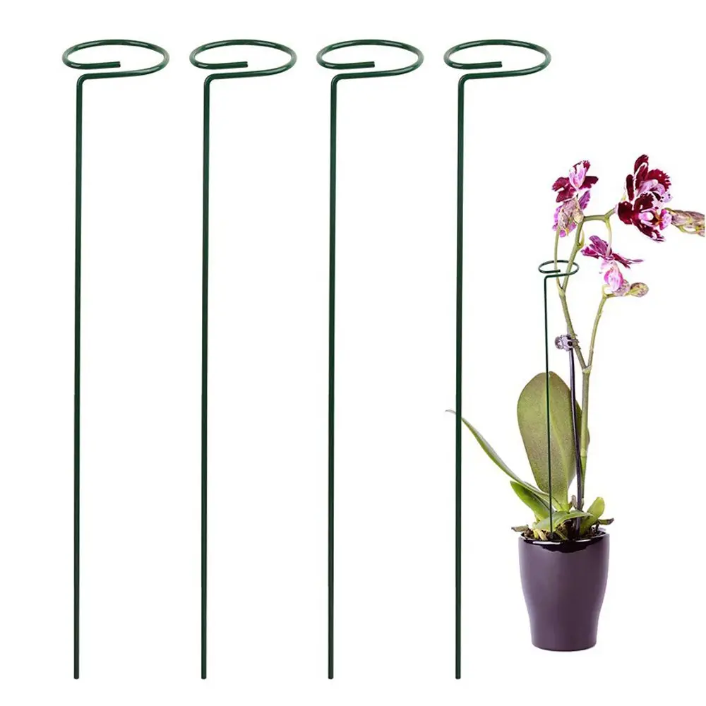 5Pcs Metal Garden Climbing Vine Rack Stake Stand Plant Cage Frame Fixing Rod Climbing Frame Plant Support Stand
5Pcs Metal Garden Climbing Vine Rack Stake Stand Plant Cage Frame Fixing Rod Climbing Frame Plant Support Stand