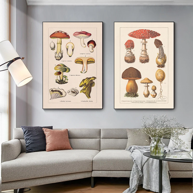 Botanical Vintage Poster Mushroom Fungus Canvas Painting Wall Art Canvas Oil Painting Home Decor
Botanical Vintage Poster Mushroom Fungus Canvas Painting Wall Art Canvas Oil Painting Home Decor