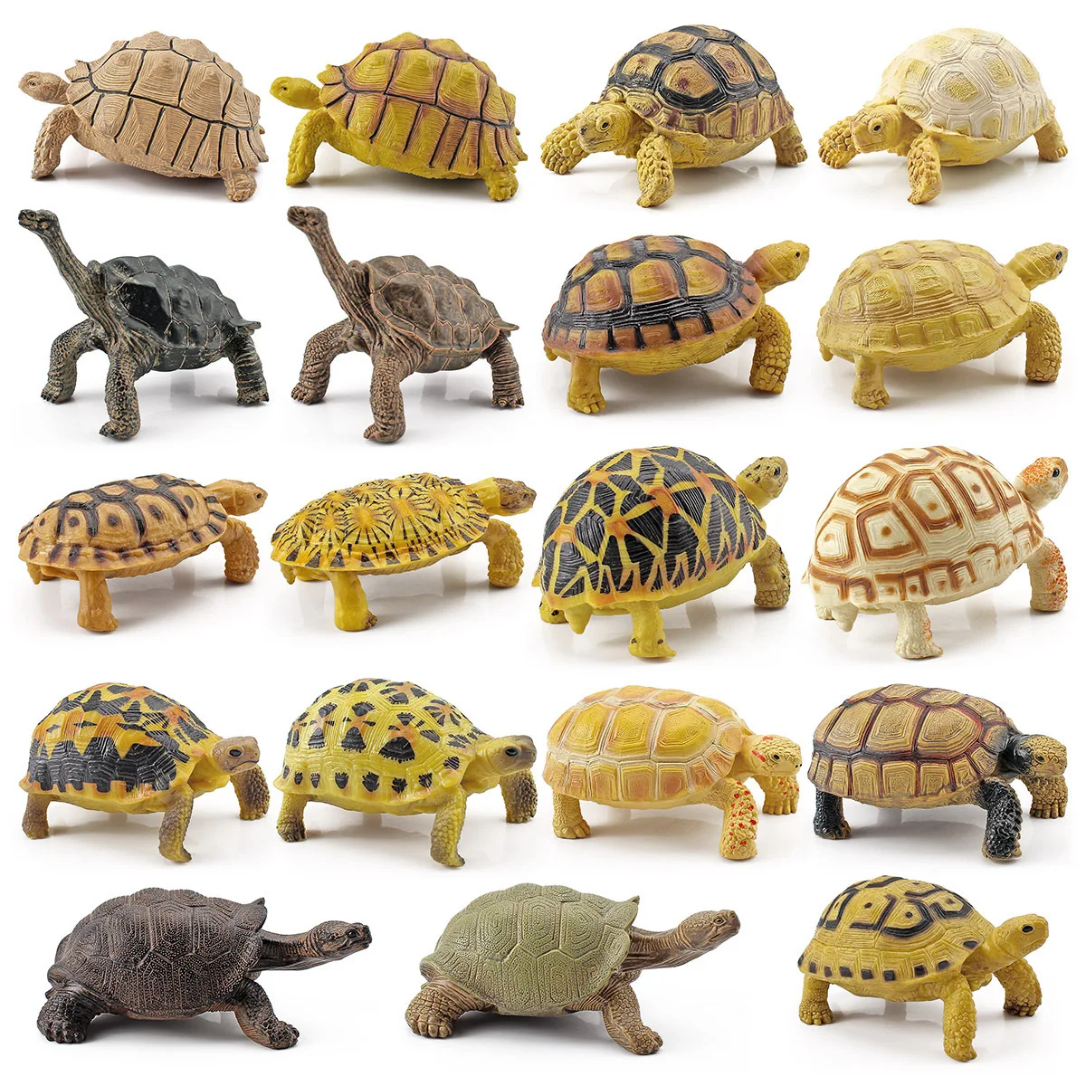

Simulation Amphibian Reptile Model Tortoise Tortoise Star Tortoise Cognitive Static Ornament Toy