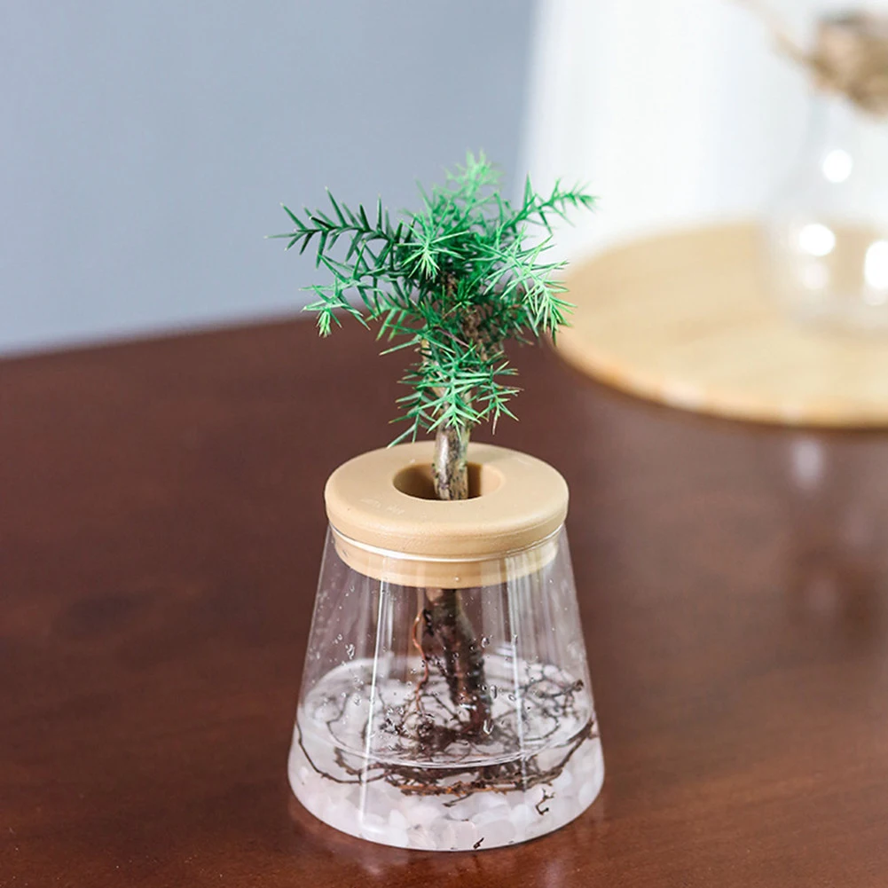 Plant Pot 2XAutomatic Absorption Clear Flower Pot For No Soil To Grow Small Potted Plants Flowerpots Maceteros Macetas
Plant Pot 2XAutomatic Absorption Clear Flower Pot For No Soil To Grow Small Potted Plants Flowerpots Maceteros Macetas