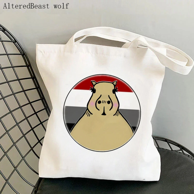 

Women's Shoulder Bag Capybara In Placiosexual Pride LGBT Canvas Bag Harajuku Shopping Shopper Bag girl handbag Tote Lady Bag