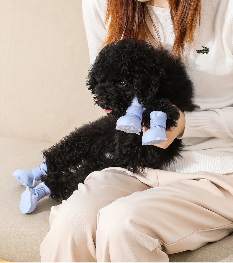 Pet Rain Boots S-L Waterproof Cold Proof Warm Antiskid Comfortable Winter Pet Foot Covers Dog TPE Foot Covers Pet Supplies
Pet Rain Boots S-L Waterproof Cold Proof Warm Antiskid Comfortable Winter Pet Foot Covers Dog TPE Foot Covers Pet Supplies