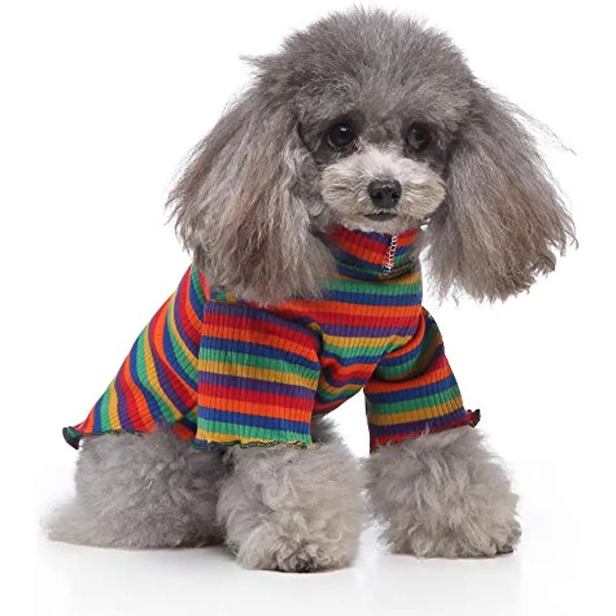 Dog Costumes for Indoor Outdoor Turtleneck Rainbow Jumpsuit Shirt Color Stripes Spring Summer Puppy Soft Clothes
Dog Costumes for Indoor Outdoor Turtleneck Rainbow Jumpsuit Shirt Color Stripes Spring Summer Puppy Soft Clothes