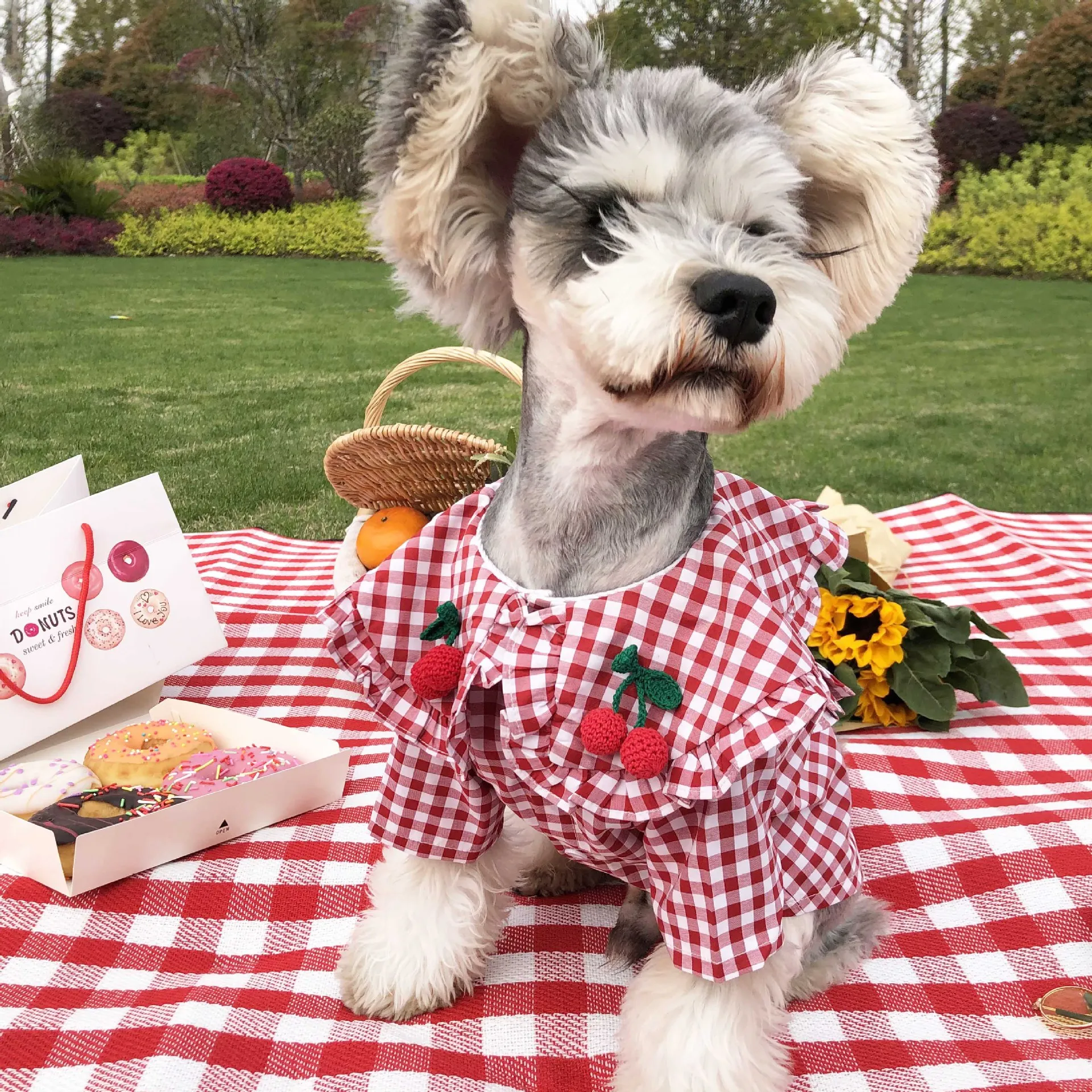 Dog Plaid Shirt Cherry Clothes Small Dog Plaid Shirt Bottoming Shirt Pomeranian Teddy Schnauzer Maltese Pet Wear dog clothes 
Dog Plaid Shirt Cherry Clothes Small Dog Plaid Shirt Bottoming Shirt Pomeranian Teddy Schnauzer Maltese Pet Wear dog clothes