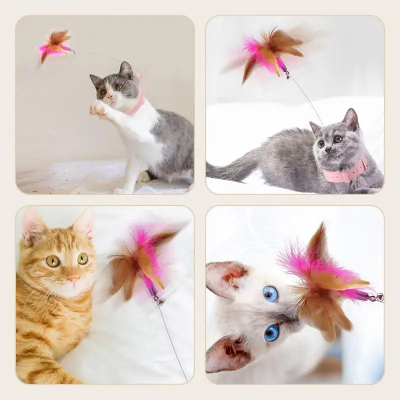 Cat Teasing Wand Cats Accessories Multifunctional With Bell Cat Toy Cats Supplies Collar Toys For Cat Funny Interactive Feather
Cat Teasing Wand Cats Accessories Multifunctional With Bell Cat Toy Cats Supplies Collar Toys For Cat Funny Interactive Feather