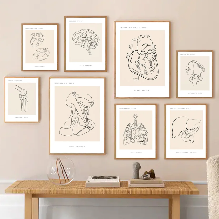 Human Anatomy Line Heart Lungs Wall Art Print Medical Canvas Painting Nordic Poster Clinic Doctors Decor Picture For Living Room 
Human Anatomy Line Heart Lungs Wall Art Print Medical Canvas Painting Nordic Poster Clinic Doctors Decor Picture For Living Room