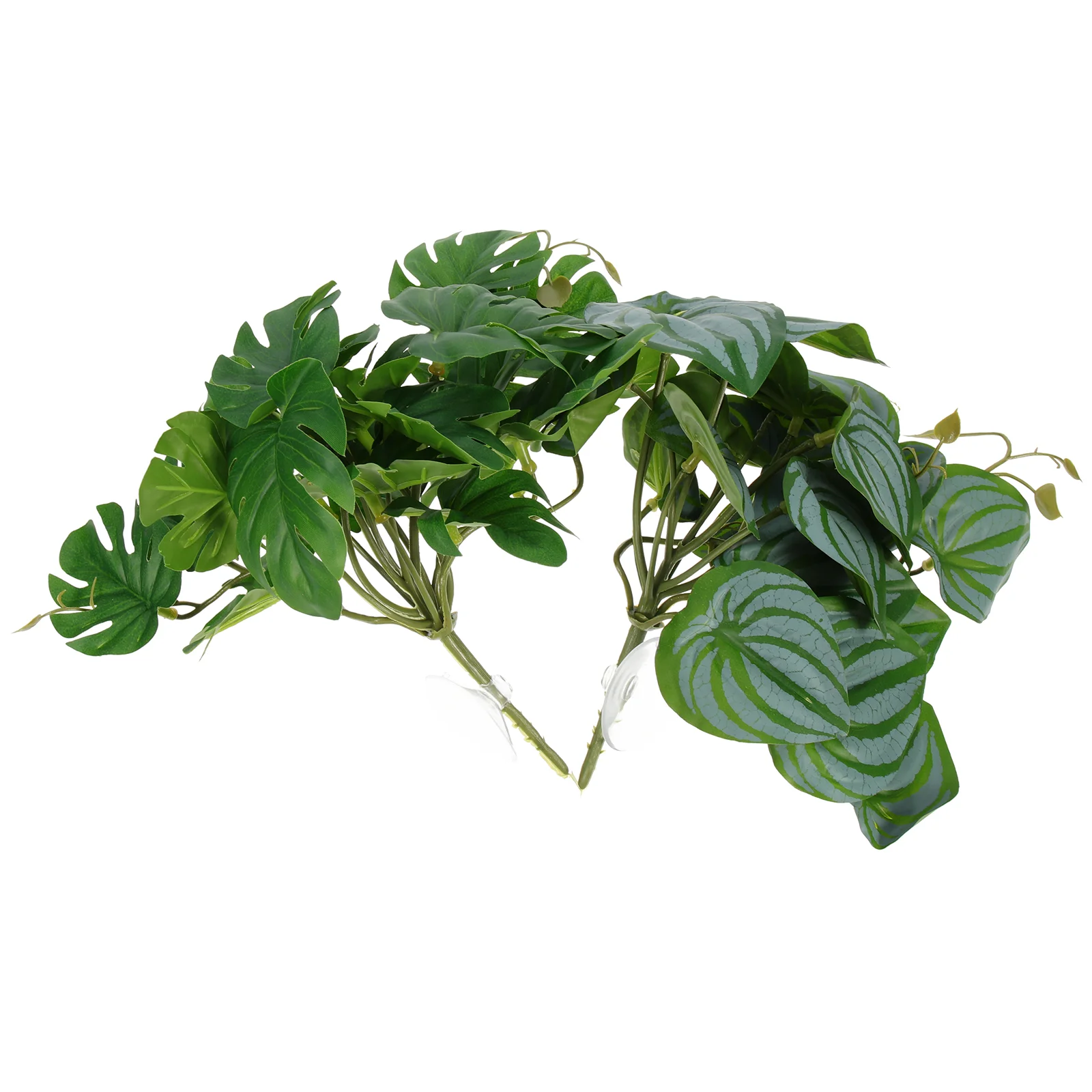 2 Pcs Home Accessories Snake Terrarium Plants Reptile Box Decors Reptile Terrarium Plants Reptile Plants Reptiles Hideout
2 Pcs Home Accessories Snake Terrarium Plants Reptile Box Decors Reptile Terrarium Plants Reptile Plants Reptiles Hideout