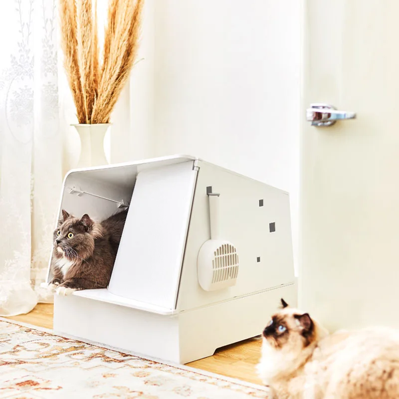 Sandbox Cat Litter Box Toilet Training Kit Pet Products Cat Accessories Portable Toilet Camping Arenero Gato Furniture For Cats 
Sandbox Cat Litter Box Toilet Training Kit Pet Products Cat Accessories Portable Toilet Camping Arenero Gato Furniture For Cats