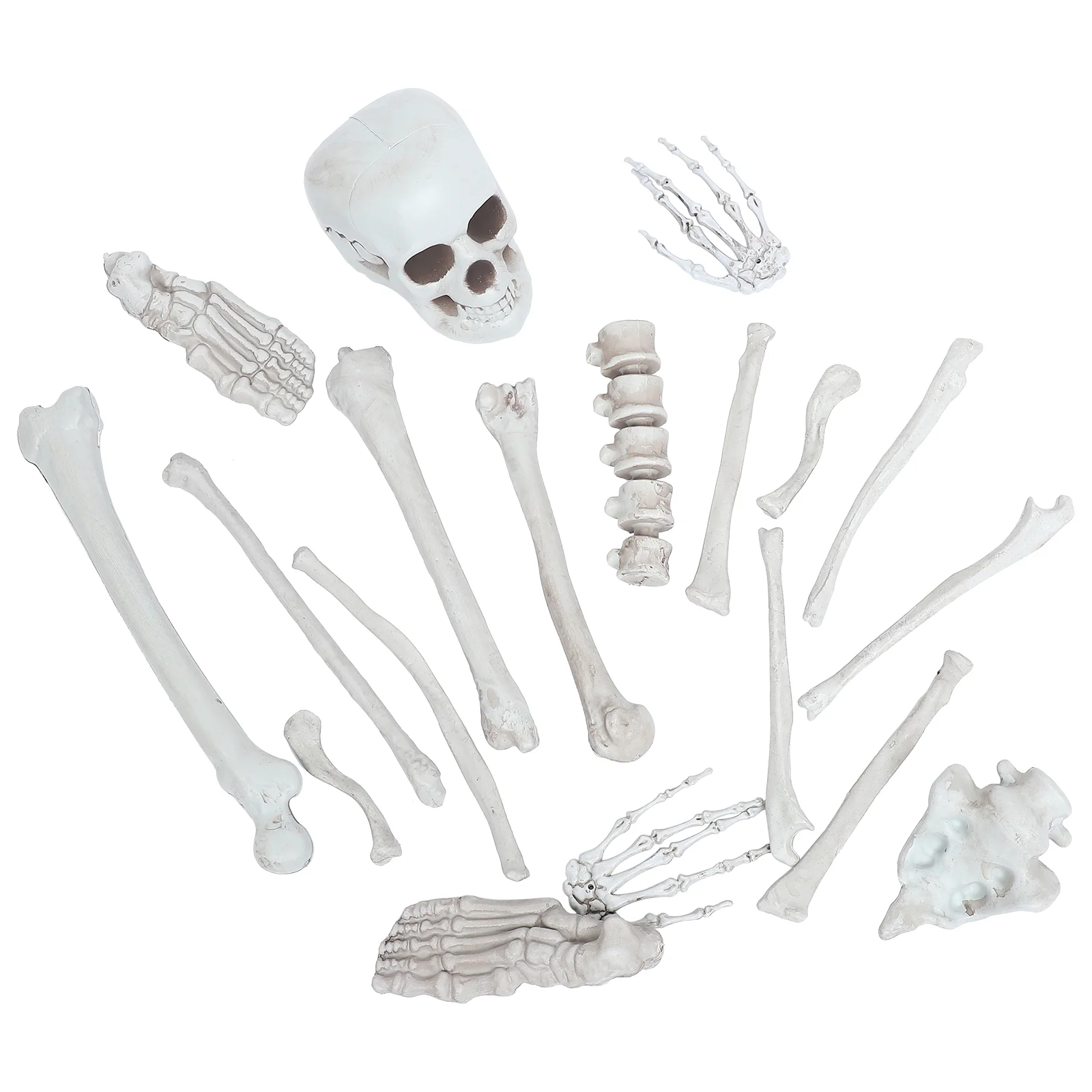 Simulated Halloween Decorations Parties Artificial Broken Human Bones Realistic Models Plastic Child
Simulated Halloween Decorations Parties Artificial Broken Human Bones Realistic Models Plastic Child