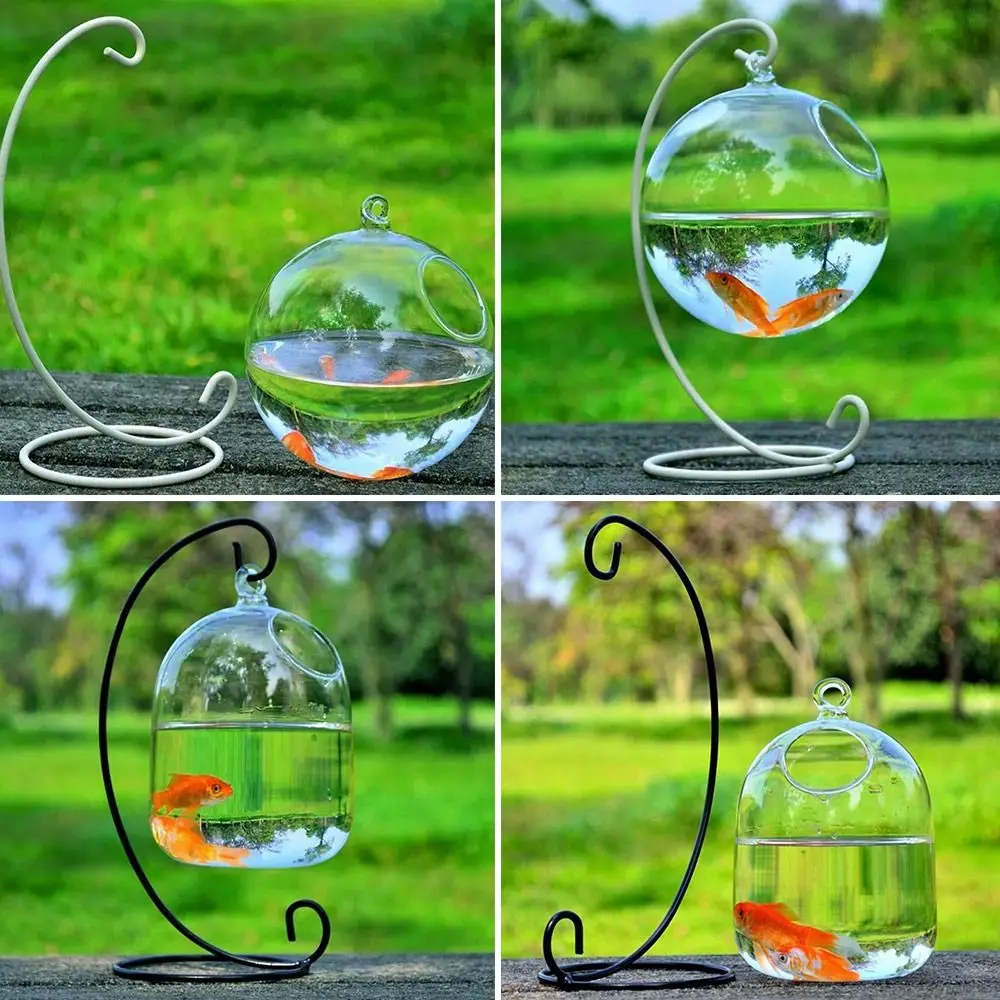 Decoration With Rack Holder Fish Tank Hydroponics Vase Hanging Glass Fish Bowl Vase Ornament Fish Bowl Home Decoration
Decoration With Rack Holder Fish Tank Hydroponics Vase Hanging Glass Fish Bowl Vase Ornament Fish Bowl Home Decoration