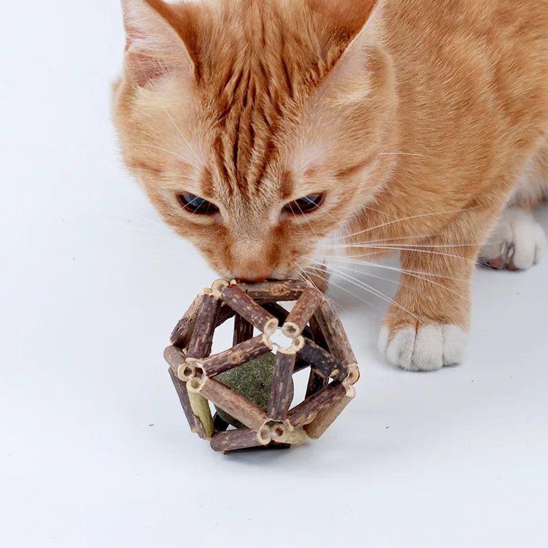 Matatabi Chew Sticks Chew Toys Natural Silvervine Sticks Mint Ball for Cats Interactive Bite Resistant Teeth Cleaning Toy Catnip
Matatabi Chew Sticks Chew Toys Natural Silvervine Sticks Mint Ball for Cats Interactive Bite Resistant Teeth Cleaning Toy Catnip