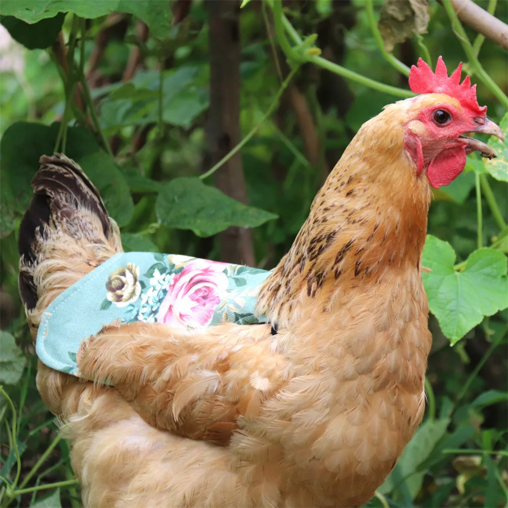 Pack of 5 Chicken Saddle with Elastic Straps Canvas Hens Aprons Feather Growth Fixed Protector Jackets Presents Accessories
Pack of 5 Chicken Saddle with Elastic Straps Canvas Hens Aprons Feather Growth Fixed Protector Jackets Presents Accessories