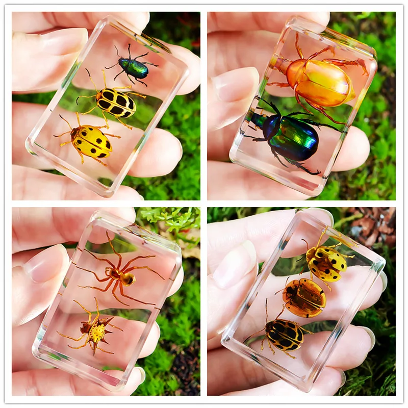 Натуральная искусственная смола, образцы морских животных, аксессуары для дома, аксессуары для украшения дома, фигурка
Натуральная искусственная смола, образцы морских животных, аксессуары для дома, аксессуары для украшения дома, фигурка