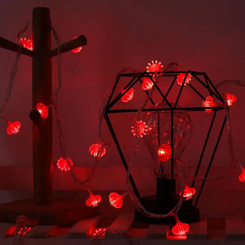 Traditional Chinese Knot Red Lantern LED String Light Christmas USB Battery Operated Party Supplies Chinese New Year Light Decor
Traditional Chinese Knot Red Lantern LED String Light Christmas USB Battery Operated Party Supplies Chinese New Year Light Decor