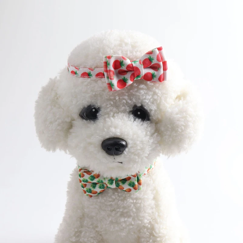 Hot New Cute Kitten Necklace Bow Adjustable Kitten Necktie Collar Bowknot Bell Cat Tie Small Cat Collars Pet Supplies
Hot New Cute Kitten Necklace Bow Adjustable Kitten Necktie Collar Bowknot Bell Cat Tie Small Cat Collars Pet Supplies