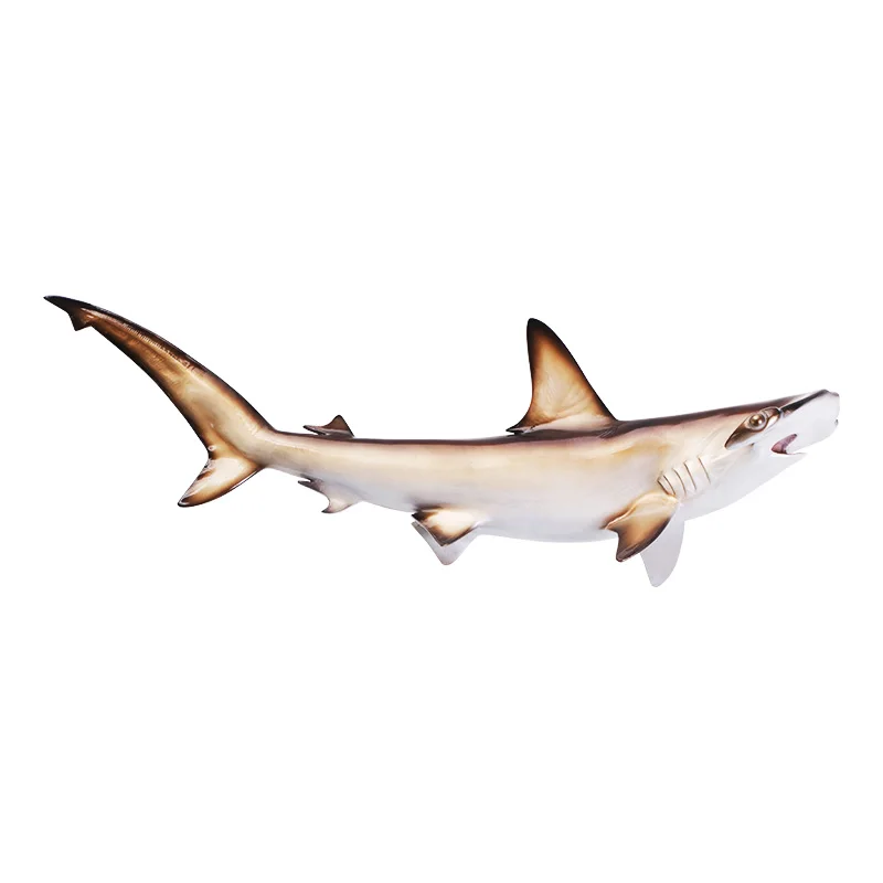 

High-End Technology Manufacturing 119x29x41 Dhh46r Hammmerhead Shark Wall Art Decor Modern Fish Home Crafts