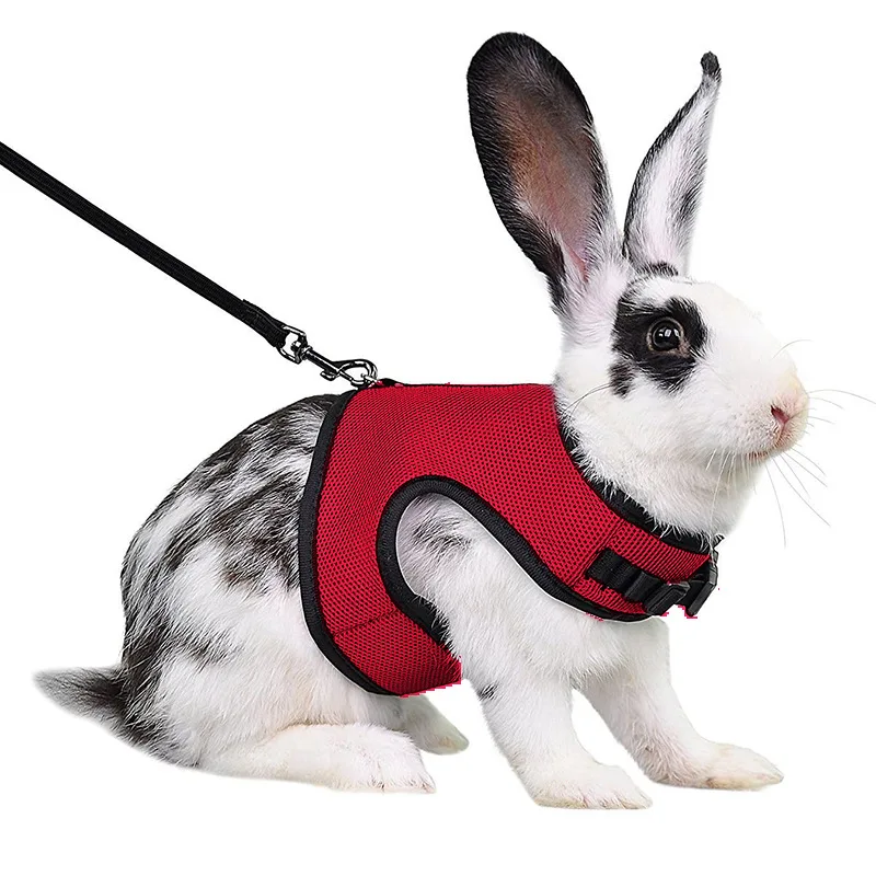 

Portable Small Pet Accessories Rabbit Harnesses Vest Leashes Set Soft Mesh Harness with Leash Small Animal Guinea Pig Hamsters