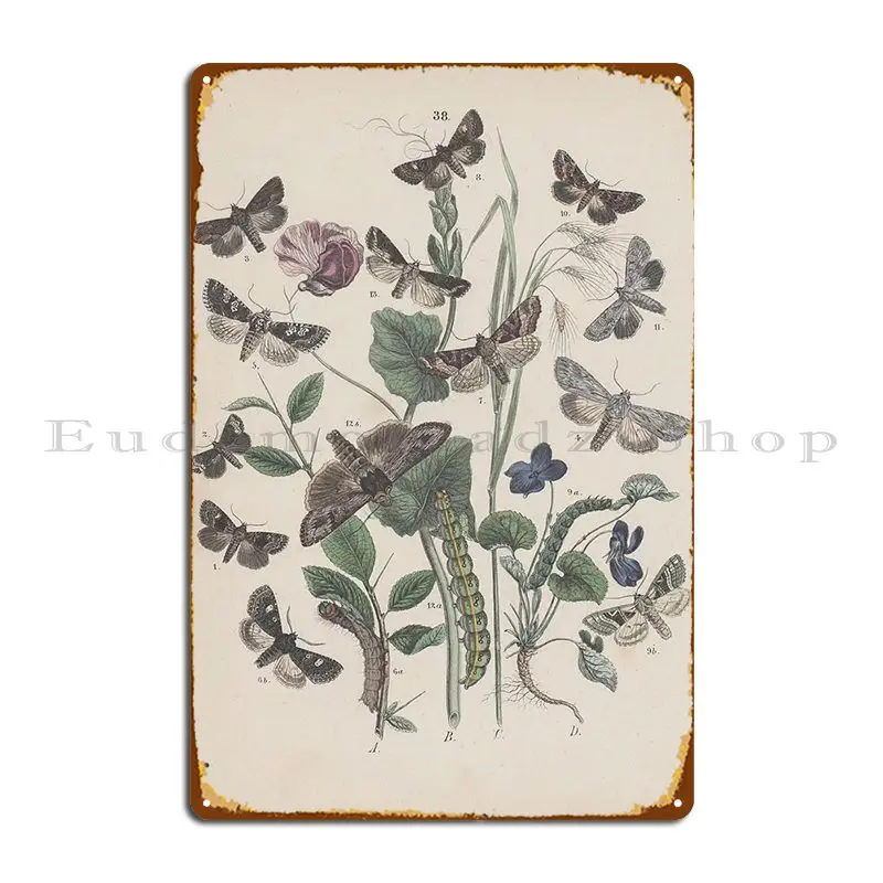 Butterfly Vintage Metal Sign Cinema Garage Decoration Character Wall Mural Tin Sign Poster
Butterfly Vintage Metal Sign Cinema Garage Decoration Character Wall Mural Tin Sign Poster