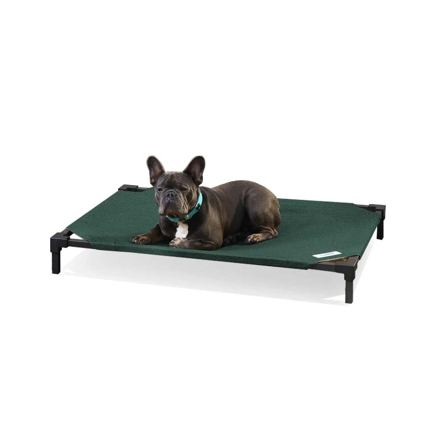 Elevated Dog Bed Pro, Medium, Fits in 42in Crates, Brunswick Green Soft Sleep House Cushion Pet Product Accessories
Elevated Dog Bed Pro, Medium, Fits in 42in Crates, Brunswick Green Soft Sleep House Cushion Pet Product Accessories