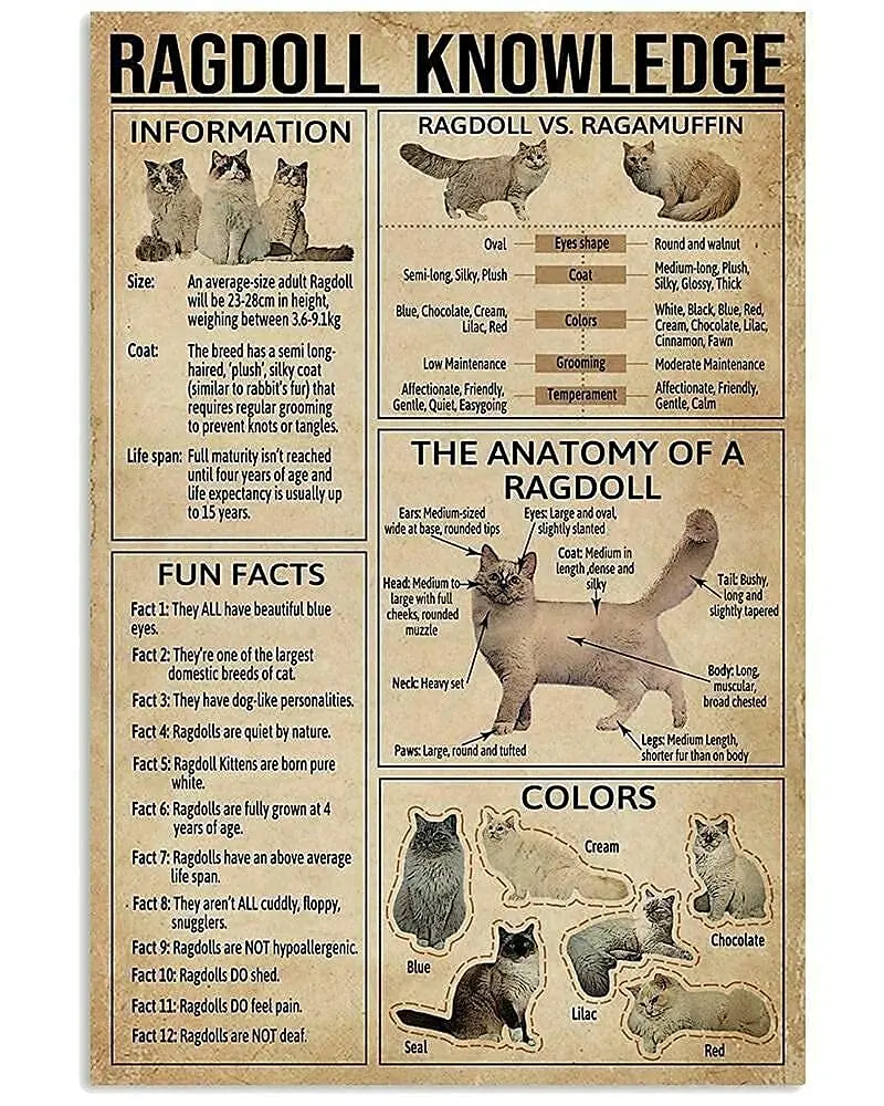 Veidsuh Ragdoll Knowledge Tin Sign Metal Sign Metal Sign Tin Sign Wall Art
Veidsuh Ragdoll Knowledge Tin Sign Metal Sign Metal Sign Tin Sign Wall Art