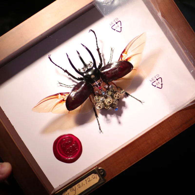 Customized real insect specimens mechanical frame collectible beetle specimens for gifts home decor desk decoration figurines
Customized real insect specimens mechanical frame collectible beetle specimens for gifts home decor desk decoration figurines
