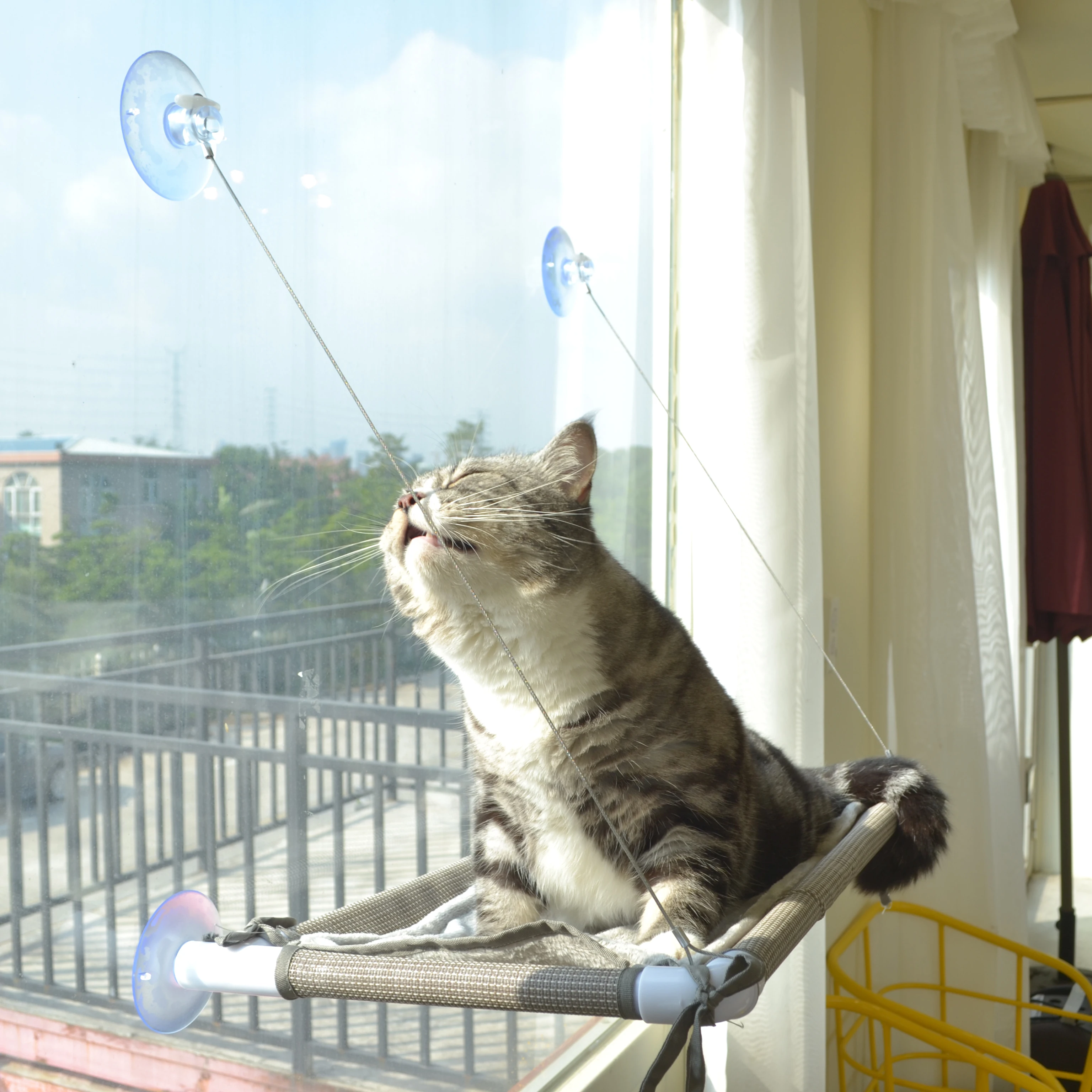Cat Bed Window, Cat Window Hammock Window Perch , Safety Cat Shelves Space Saving Window Mounted Cat Seat for Large Cats (Beige
Cat Bed Window, Cat Window Hammock Window Perch , Safety Cat Shelves Space Saving Window Mounted Cat Seat for Large Cats (Beige