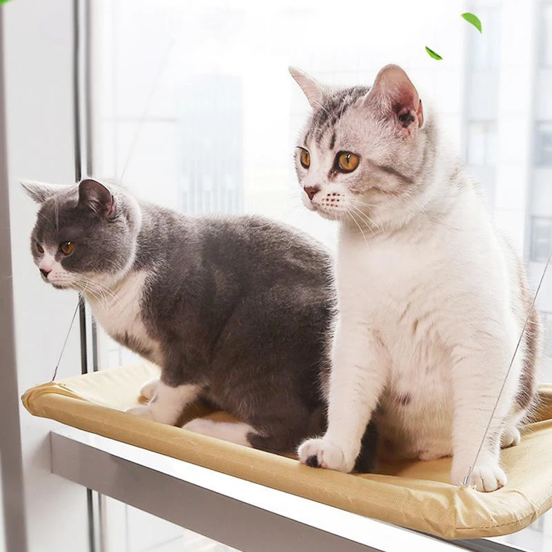 Pet Cat Hammock Aerial Cats Bed House Kitten Climbing Frame Sunny Window Seat Nest Bearing 20kg Cat Hanging Bed Pet Accessories
Pet Cat Hammock Aerial Cats Bed House Kitten Climbing Frame Sunny Window Seat Nest Bearing 20kg Cat Hanging Bed Pet Accessories