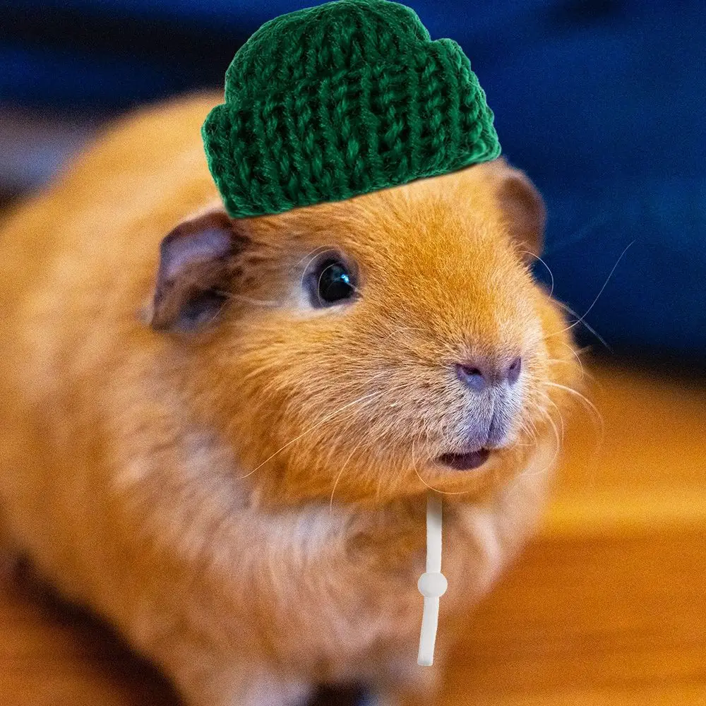 2pcs Hamster Hat and Guinea Pig Black Hat with Bow Tie Cool Pet Cap Small Animal Outfit Suit Cosplay for Rats Sugar Glider
2pcs Hamster Hat and Guinea Pig Black Hat with Bow Tie Cool Pet Cap Small Animal Outfit Suit Cosplay for Rats Sugar Glider