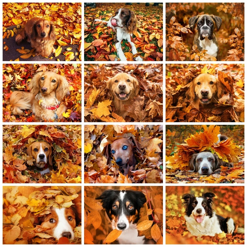 AZQSD Coloring By Numbers Dog Animal Wall Art Paint By Number Maple Leaf Autumn Picture For Living Room Home Decoration
AZQSD Coloring By Numbers Dog Animal Wall Art Paint By Number Maple Leaf Autumn Picture For Living Room Home Decoration