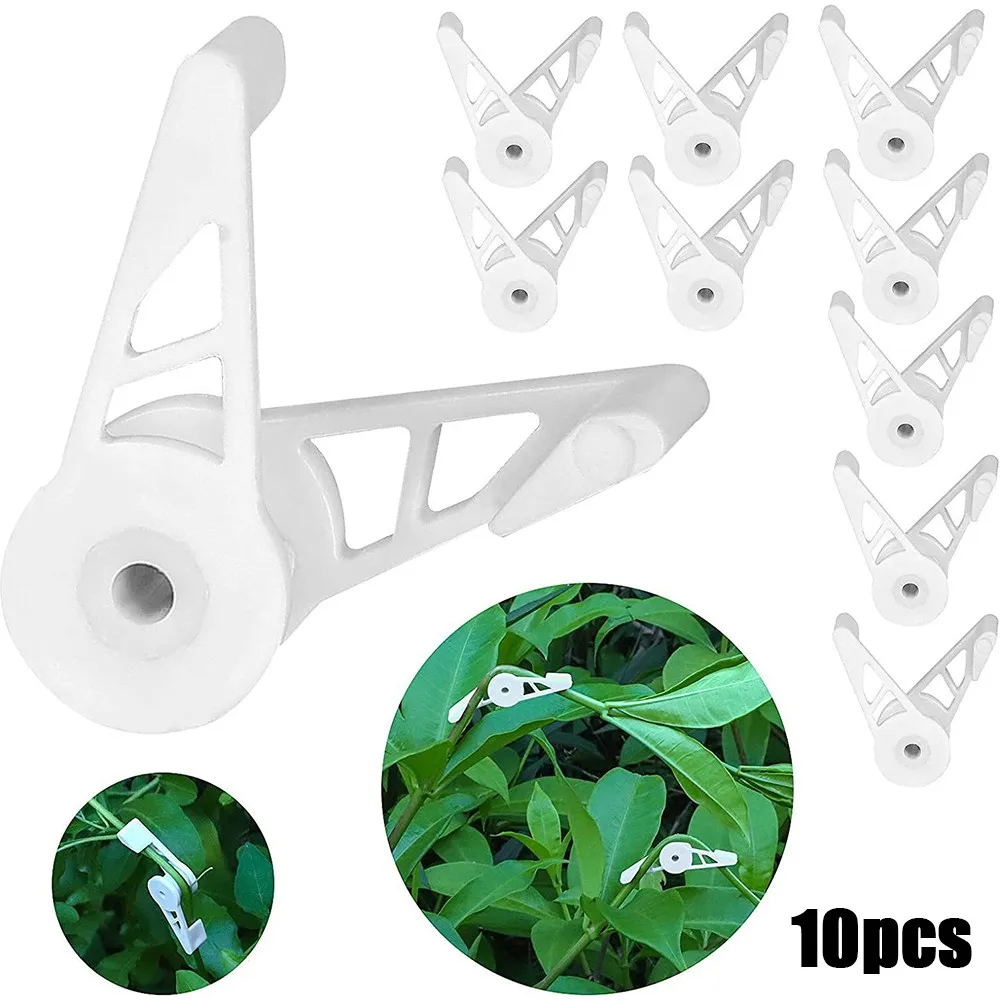 10Pcs 360° Adjustable Plant Branch Bender Clip For Low Stress Plant Training Garden Holder For The Vegetables Flowers Fruit Tree
10Pcs 360° Adjustable Plant Branch Bender Clip For Low Stress Plant Training Garden Holder For The Vegetables Flowers Fruit Tree