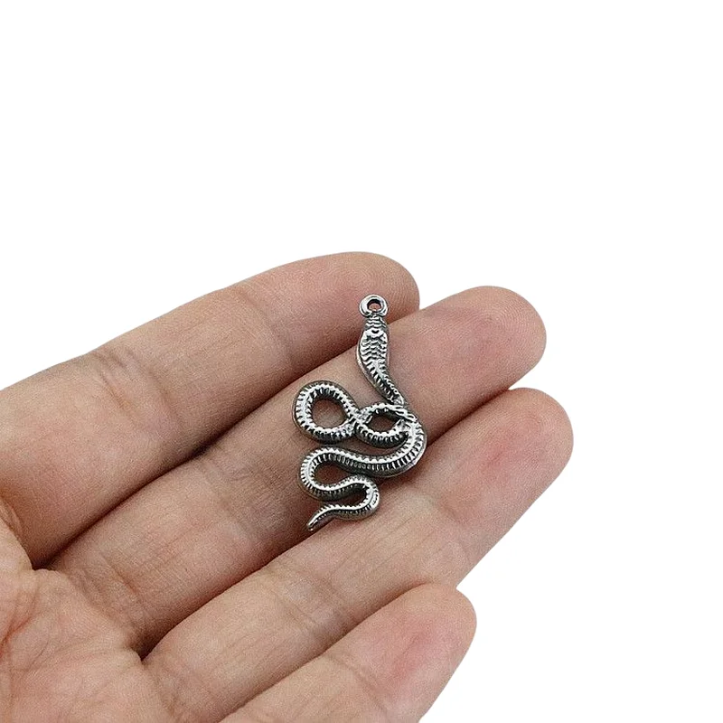 WZNB 4Pcs Stainless Steel Snake Charms For Jewelry Findings Making DIY Earrings Necklaces Pendants Handmade Supplies Accessories
WZNB 4Pcs Stainless Steel Snake Charms For Jewelry Findings Making DIY Earrings Necklaces Pendants Handmade Supplies Accessories