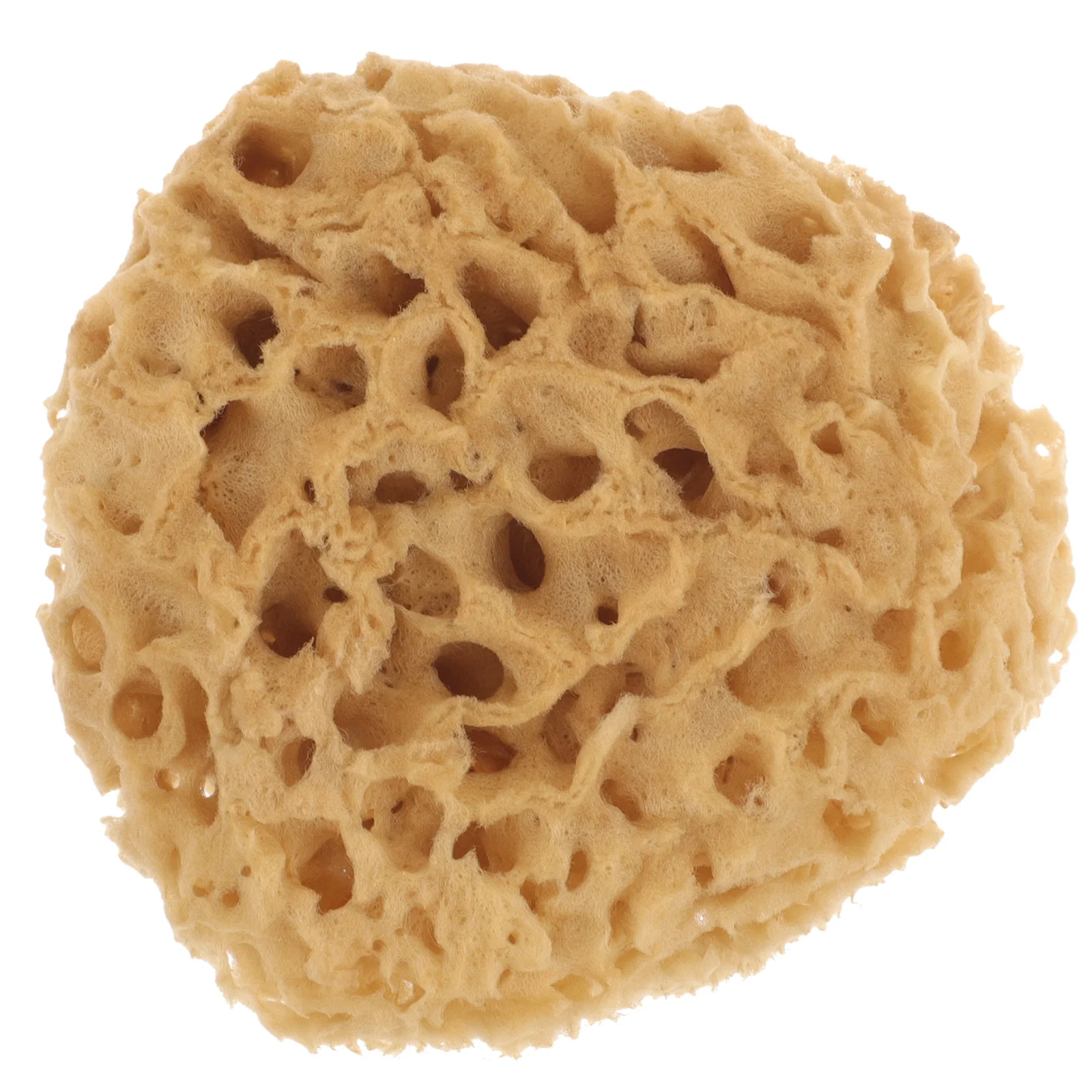 Shower Supplies Bath Sponge Exfoliating Tool Skin Cleaning Scrubber Honeycomb Body
Shower Supplies Bath Sponge Exfoliating Tool Skin Cleaning Scrubber Honeycomb Body