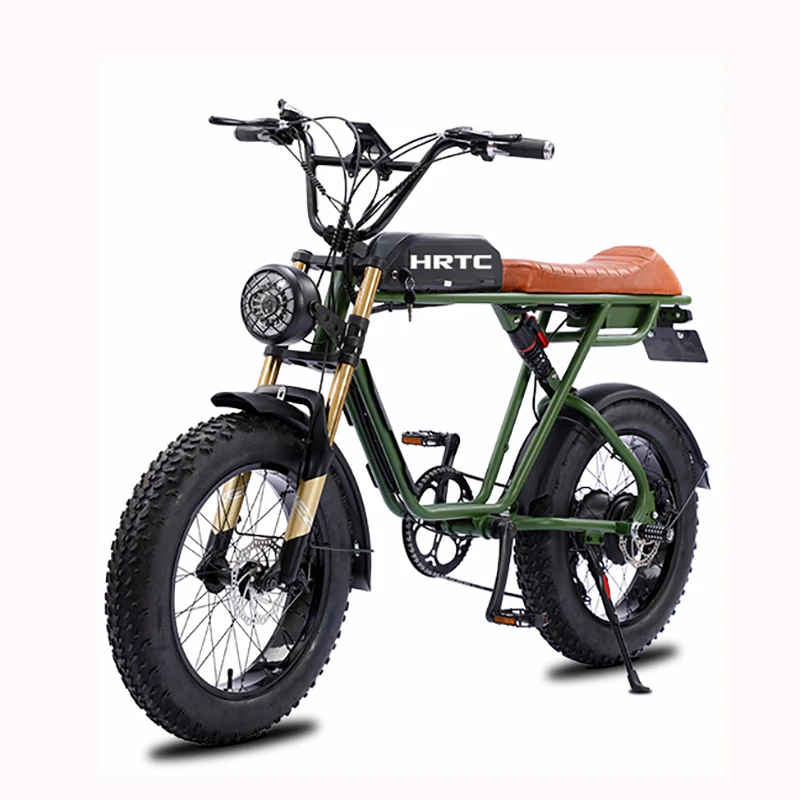 20 inch soft tail variable speed snow assist bicycle SUPER ebike electric bicycle retro off-road 500w power motor mountain bike
20 inch soft tail variable speed snow assist bicycle SUPER ebike electric bicycle retro off-road 500w power motor mountain bike