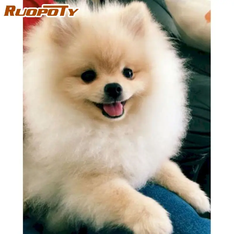 RUOPOTY DIY Diamond Painting Cute Dog Diamond Embroidery Full Display Animal Diamond Mosaic Beads Picture Kits
RUOPOTY DIY Diamond Painting Cute Dog Diamond Embroidery Full Display Animal Diamond Mosaic Beads Picture Kits
