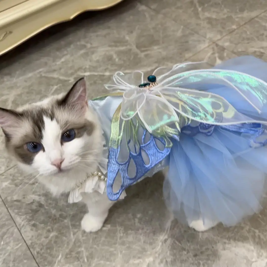 Spring & Summer Dog Clothes, Cat High-End Chiffon Princess Dress, Pet Fluffy Skirt for Teddy, Chihuahua, Kitten, Puppy
Spring & Summer Dog Clothes, Cat High-End Chiffon Princess Dress, Pet Fluffy Skirt for Teddy, Chihuahua, Kitten, Puppy