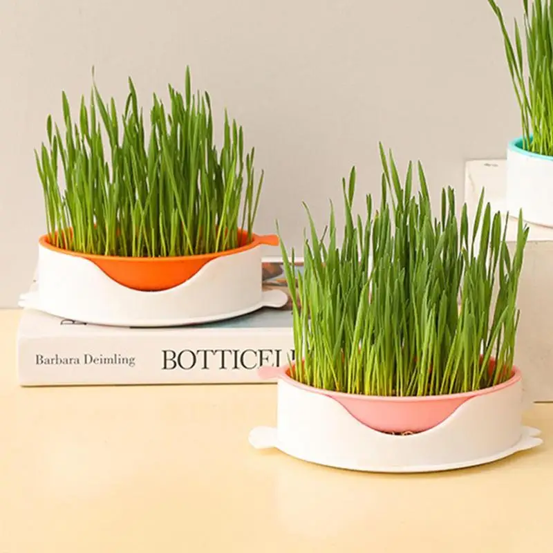 Hydroponic Cat Grass Planter Catnip Planter Growing Kit Soilless Fish Shape Planting Mesh Box Trays For Cact Dog Pet Accessories
Hydroponic Cat Grass Planter Catnip Planter Growing Kit Soilless Fish Shape Planting Mesh Box Trays For Cact Dog Pet Accessories